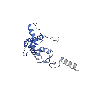 25542_7syv_K_v1-2
Structure of the wt IRES eIF5B-containing pre-48S initiation complex, open conformation. Structure 14(wt)