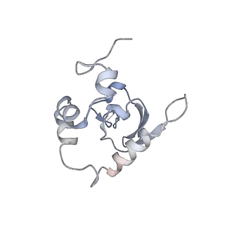 25542_7syv_Q_v1-2
Structure of the wt IRES eIF5B-containing pre-48S initiation complex, open conformation. Structure 14(wt)