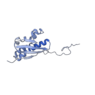 25542_7syv_R_v1-2
Structure of the wt IRES eIF5B-containing pre-48S initiation complex, open conformation. Structure 14(wt)