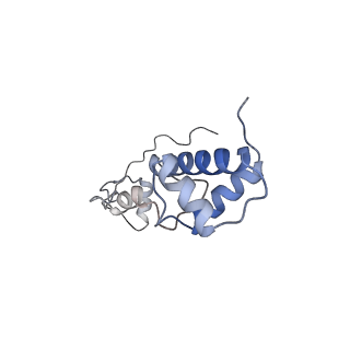 25542_7syv_S_v1-2
Structure of the wt IRES eIF5B-containing pre-48S initiation complex, open conformation. Structure 14(wt)