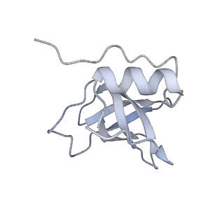 25543_7syw_A_v1-1
Structure of the wt IRES eIF5B-containing 48S initiation complex, closed conformation. Structure 15(wt)