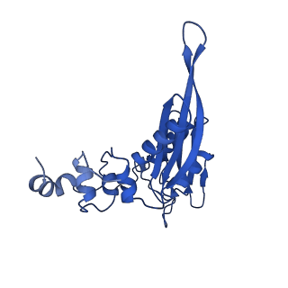 25543_7syw_D_v1-1
Structure of the wt IRES eIF5B-containing 48S initiation complex, closed conformation. Structure 15(wt)
