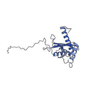 25543_7syw_E_v1-1
Structure of the wt IRES eIF5B-containing 48S initiation complex, closed conformation. Structure 15(wt)