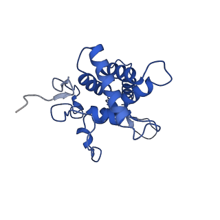 25543_7syw_G_v1-1
Structure of the wt IRES eIF5B-containing 48S initiation complex, closed conformation. Structure 15(wt)