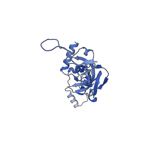 25543_7syw_J_v1-1
Structure of the wt IRES eIF5B-containing 48S initiation complex, closed conformation. Structure 15(wt)