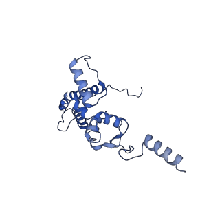 25543_7syw_K_v1-1
Structure of the wt IRES eIF5B-containing 48S initiation complex, closed conformation. Structure 15(wt)