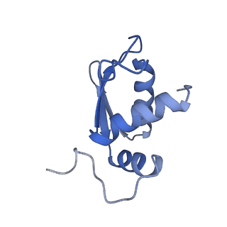 25543_7syw_L_v1-1
Structure of the wt IRES eIF5B-containing 48S initiation complex, closed conformation. Structure 15(wt)