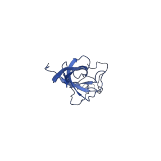 25543_7syw_M_v1-1
Structure of the wt IRES eIF5B-containing 48S initiation complex, closed conformation. Structure 15(wt)