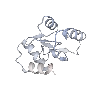 25543_7syw_N_v1-1
Structure of the wt IRES eIF5B-containing 48S initiation complex, closed conformation. Structure 15(wt)