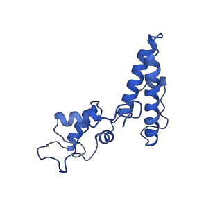 25543_7syw_O_v1-1
Structure of the wt IRES eIF5B-containing 48S initiation complex, closed conformation. Structure 15(wt)