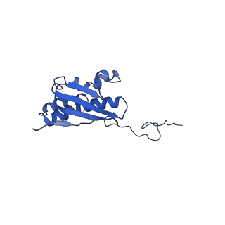 25543_7syw_R_v1-1
Structure of the wt IRES eIF5B-containing 48S initiation complex, closed conformation. Structure 15(wt)