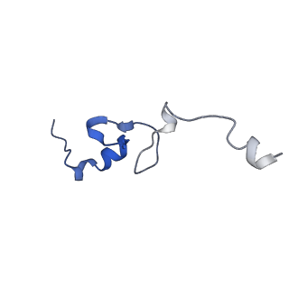 25543_7syw_e_v1-1
Structure of the wt IRES eIF5B-containing 48S initiation complex, closed conformation. Structure 15(wt)