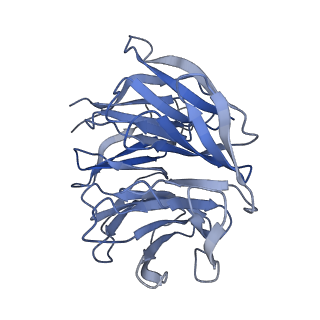 25543_7syw_h_v1-1
Structure of the wt IRES eIF5B-containing 48S initiation complex, closed conformation. Structure 15(wt)