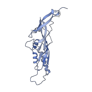 25544_7syx_C_v1-1
Structure of the delta dII IRES eIF5B-containing 48S initiation complex, closed conformation. Structure 15(delta dII)