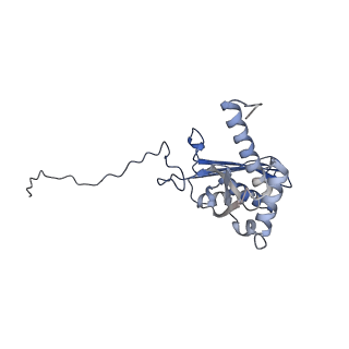 25544_7syx_E_v1-1
Structure of the delta dII IRES eIF5B-containing 48S initiation complex, closed conformation. Structure 15(delta dII)