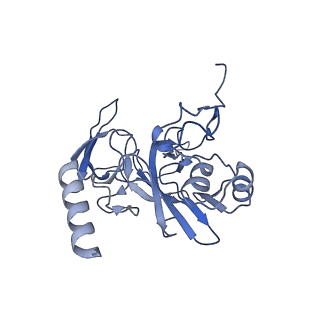 25544_7syx_F_v1-1
Structure of the delta dII IRES eIF5B-containing 48S initiation complex, closed conformation. Structure 15(delta dII)