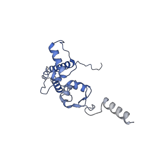 25544_7syx_K_v1-1
Structure of the delta dII IRES eIF5B-containing 48S initiation complex, closed conformation. Structure 15(delta dII)