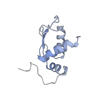 25544_7syx_L_v1-1
Structure of the delta dII IRES eIF5B-containing 48S initiation complex, closed conformation. Structure 15(delta dII)