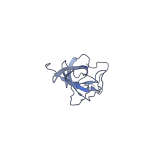 25544_7syx_M_v1-1
Structure of the delta dII IRES eIF5B-containing 48S initiation complex, closed conformation. Structure 15(delta dII)