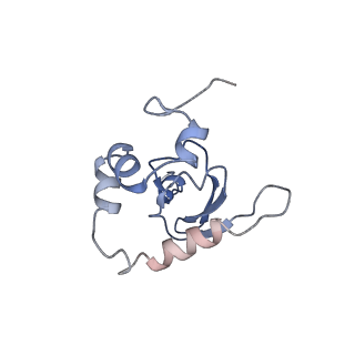 25544_7syx_Q_v1-1
Structure of the delta dII IRES eIF5B-containing 48S initiation complex, closed conformation. Structure 15(delta dII)