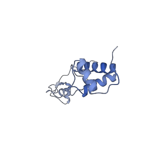25544_7syx_S_v1-1
Structure of the delta dII IRES eIF5B-containing 48S initiation complex, closed conformation. Structure 15(delta dII)