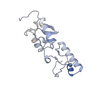 25544_7syx_T_v1-1
Structure of the delta dII IRES eIF5B-containing 48S initiation complex, closed conformation. Structure 15(delta dII)