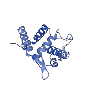 25544_7syx_U_v1-1
Structure of the delta dII IRES eIF5B-containing 48S initiation complex, closed conformation. Structure 15(delta dII)