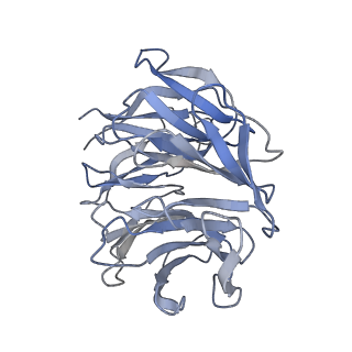 25544_7syx_h_v1-1
Structure of the delta dII IRES eIF5B-containing 48S initiation complex, closed conformation. Structure 15(delta dII)
