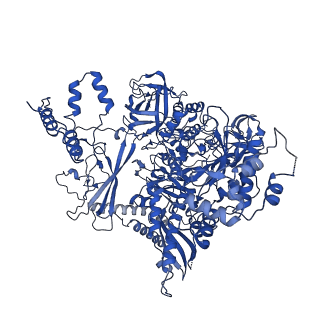 40862_8sy5_I_v1-0
E. coli DNA-directed RNA polymerase transcription elongation complex bound the unnatural dS-BTP base pair in the active site