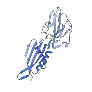 40863_8sy6_A_v1-0
E. coli DNA-directed RNA polymerase transcription elongation complex bound the unnatural dB-UTP base pair in the active site