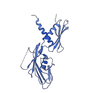 40863_8sy6_G_v1-0
E. coli DNA-directed RNA polymerase transcription elongation complex bound the unnatural dB-UTP base pair in the active site