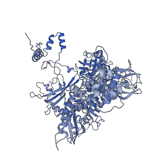 40863_8sy6_I_v1-0
E. coli DNA-directed RNA polymerase transcription elongation complex bound the unnatural dB-UTP base pair in the active site