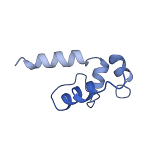 40863_8sy6_K_v1-0
E. coli DNA-directed RNA polymerase transcription elongation complex bound the unnatural dB-UTP base pair in the active site