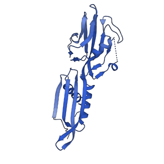 40864_8sy7_A_v1-0
E. coli DNA-directed RNA polymerase transcription elongation complex bound the unnatural dB-STP base pair in the active site