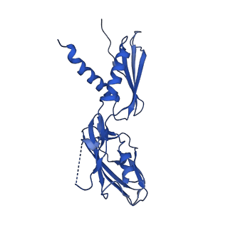 40864_8sy7_G_v1-0
E. coli DNA-directed RNA polymerase transcription elongation complex bound the unnatural dB-STP base pair in the active site