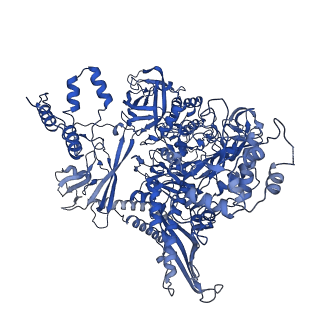40864_8sy7_I_v1-0
E. coli DNA-directed RNA polymerase transcription elongation complex bound the unnatural dB-STP base pair in the active site