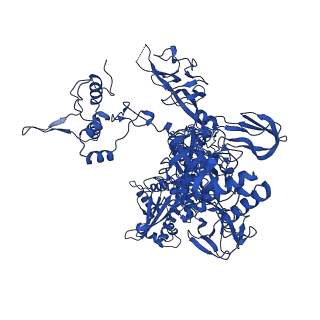 40874_8syi_C_v1-0
Cyanobacterial RNAP-EC