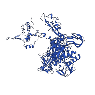 40874_8syi_C_v1-1
Cyanobacterial RNAP-EC