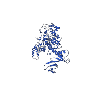 40874_8syi_D_v1-0
Cyanobacterial RNAP-EC