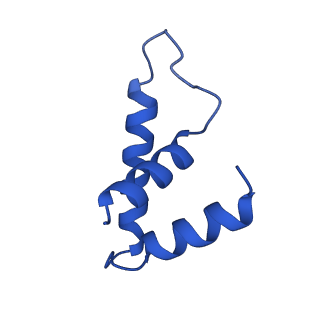 40874_8syi_E_v1-0
Cyanobacterial RNAP-EC