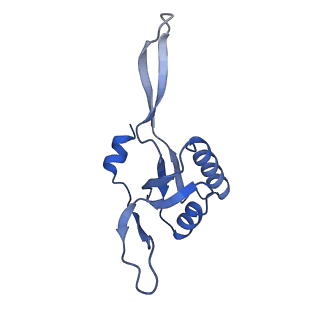 40874_8syi_G_v1-0
Cyanobacterial RNAP-EC