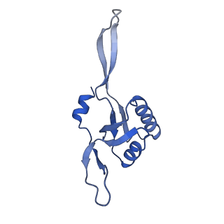 40874_8syi_G_v1-1
Cyanobacterial RNAP-EC