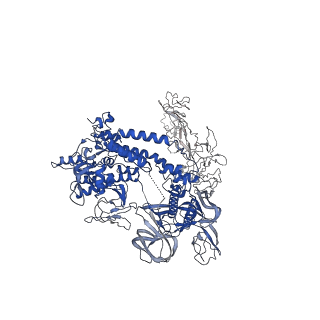40874_8syi_Z_v1-0
Cyanobacterial RNAP-EC