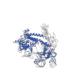 40874_8syi_Z_v1-1
Cyanobacterial RNAP-EC