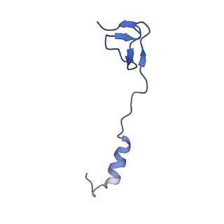40882_8syl_4_v1-1
Cryo-EM structure of the Escherichia coli 70S ribosome in complex with amikacin, mRNA, and A-, P-, and E-site tRNAs