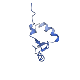 40882_8syl_7_v1-1
Cryo-EM structure of the Escherichia coli 70S ribosome in complex with amikacin, mRNA, and A-, P-, and E-site tRNAs