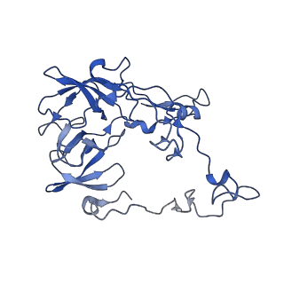 40882_8syl_C_v1-1
Cryo-EM structure of the Escherichia coli 70S ribosome in complex with amikacin, mRNA, and A-, P-, and E-site tRNAs