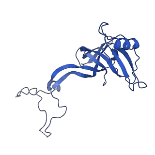 40882_8syl_D_v1-1
Cryo-EM structure of the Escherichia coli 70S ribosome in complex with amikacin, mRNA, and A-, P-, and E-site tRNAs