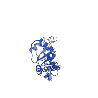 40882_8syl_E_v1-1
Cryo-EM structure of the Escherichia coli 70S ribosome in complex with amikacin, mRNA, and A-, P-, and E-site tRNAs