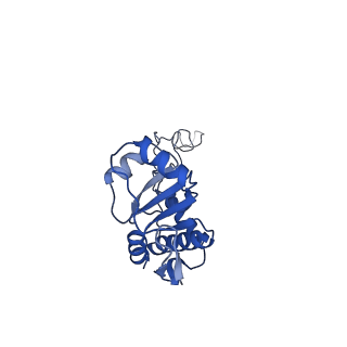 40882_8syl_E_v2-0
Cryo-EM structure of the Escherichia coli 70S ribosome in complex with amikacin, mRNA, and A-, P-, and E-site tRNAs